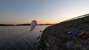 Using LIVE BLUEGILL Under a Float For Big FLATHEADS! (NEW PB)