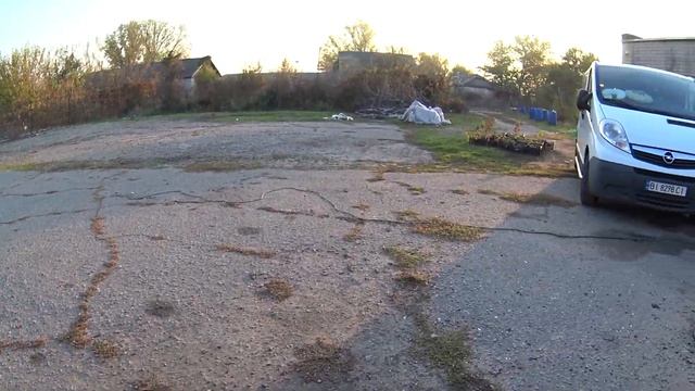 Плантация ежевики, техника для междурядий. смотреть онлайн