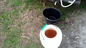Первая листовая подкормка гороха и ручная прополка. Горох Оскар под агроволокном. Плантатор.