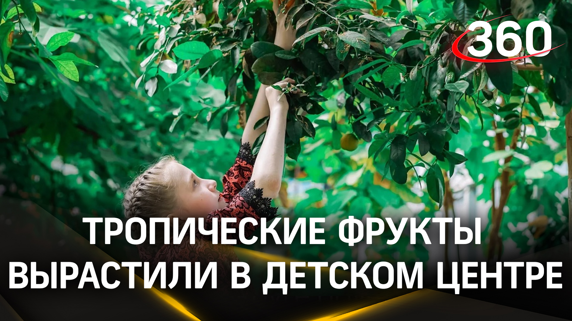 Тропические фрукты вырастили в детском центре округа Орехово-Зуевский