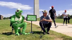 Being a Gecko at the Washington Monument