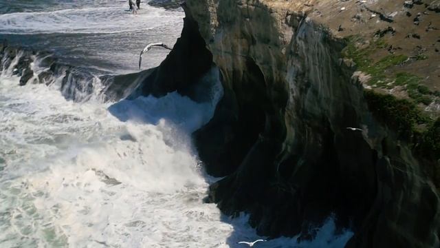 лайф красивое море