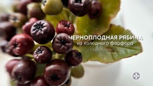 Лепка из холодного фарфора. Черноплодная рябина