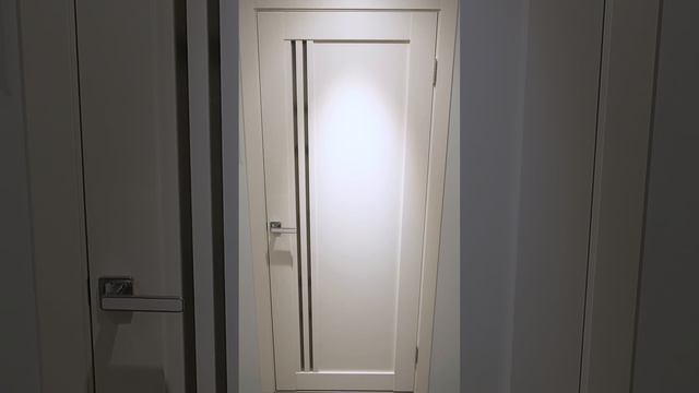 Видеообзор. Межкомнатная дверь для стильных интерьеров XLINE 6 фабрики VellDoris