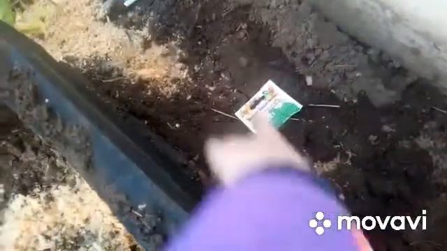 Как подготовить землю перед посадкой весной? Можно ли держать кур в теплице зимой? смотреть онлайн