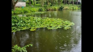 Тульская обл 2023