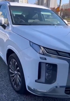 Осмотр Hyundai Palisade перед покупкой!