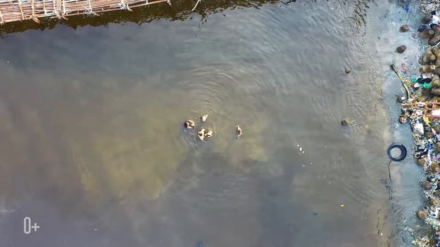 Токсичная упаковка от фастфуда смотреть онлайн