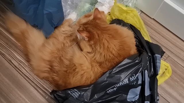 Барахолка. Барахолка Днепр. мои покупки на барахолке. Чешский хрусталь. Антиквариат.