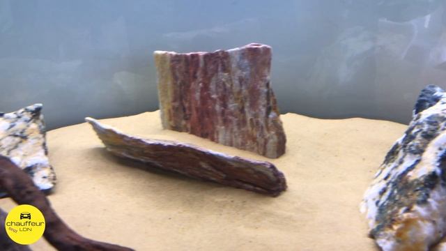 JUWEL RIO 450 LED | 2021 EDITION | SETUP смотреть онлайн