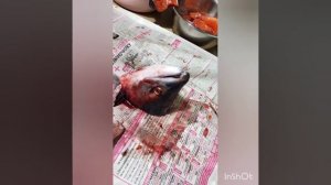 Разделываю Нерку(Красницу) на засолку.5.08.23.