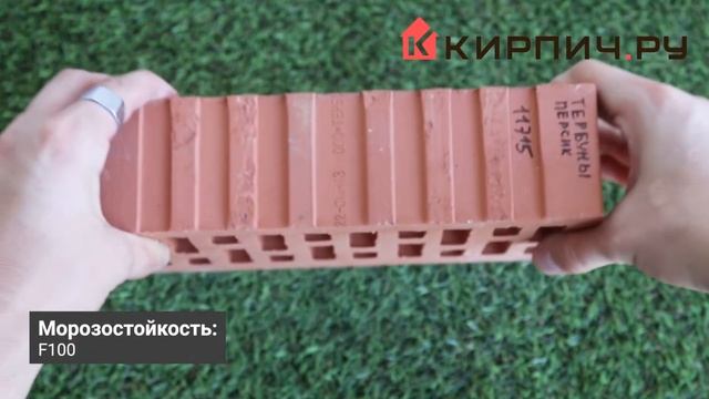 Кирпич облицовочный персик одинарный гладкий М-200 Липецк Код: 11715 смотреть онлайн