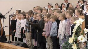 Божья коровка // Иду по широкому полю и вижу вокруг чудеса... 23.10.2022