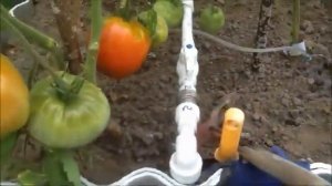 Полив капельно струйный ,для теплиц , из ПП труб. Окончание.
