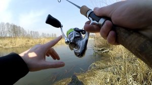 Катушка Daiwa Crossfire 20 LT обзор и первые впечатления.