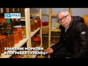 Хранение моркови в погребе "Уралец"