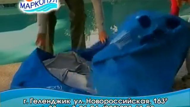 МАРКОПУЛ, установка и обслуживание бассейнов в Геленджике (2008)