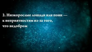 К чему снится табун лошадей — Онлайн Сонник Эксперт