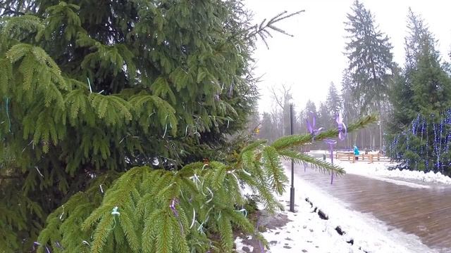 Беларусь #7. Беловежская Пуща. Усадьба Деда Мороза смотреть онлайн