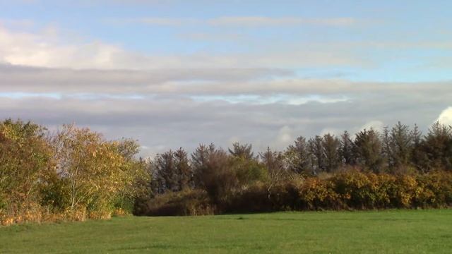 Canon Legria HF R806 Test 1 смотреть онлайн