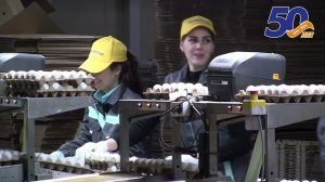 Серия видеороликов о профессиях, посвященных 50-летию СХАО «Белореченское» №1 Н. Жаркая