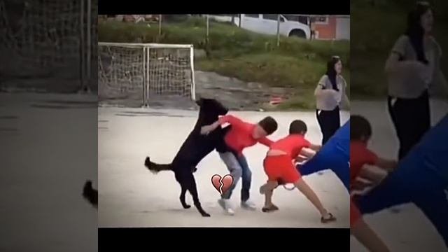 СМОТРИ И СМЕЙСЯ
