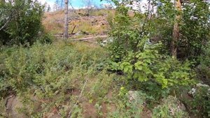 Плато Путорана (подробный) 2 часть (дополненная)