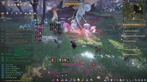 BDO auto grinding bot in Polly's forest