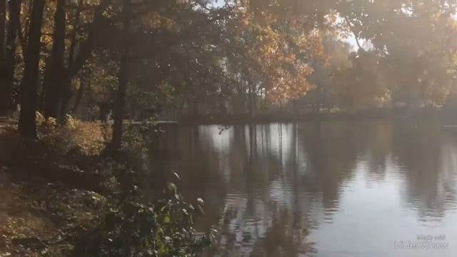 Парк Отель Воздвиженское. Обзор отеля. Отели Всё включено в подмосковье.