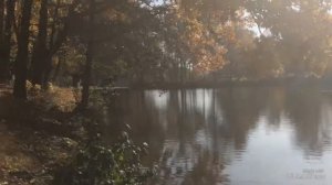 Парк Отель Воздвиженское. Обзор отеля. Отели Всё включено в подмосковье.