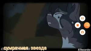 Коты воители.Зачем?