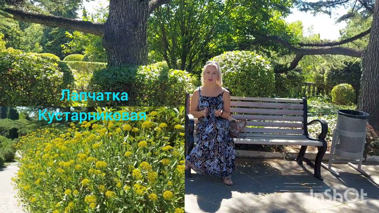 Типы садово-парковых насаждений на примере Форосского парка