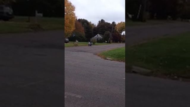 1997 Honda shadow vlx 600 смотреть онлайн