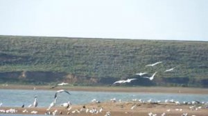 Озеро Маныч-Гудило