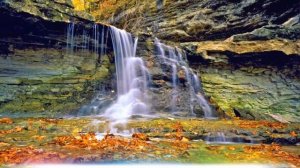 Бодрящая музыка для начала нового дня ! Гармония Музыки и Природы!