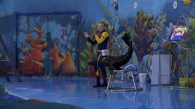 НАШ ГОРОД. Выпуск 22.12.2017 смотреть онлайн