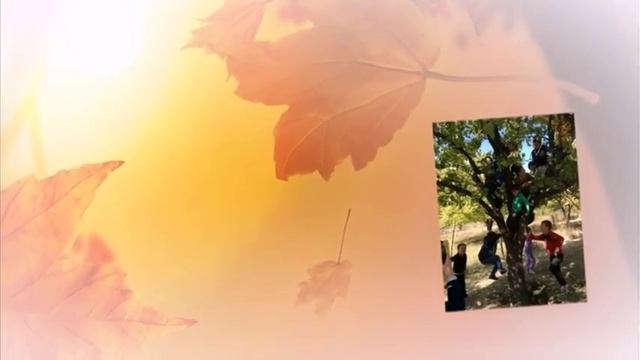 Презентация на тему: Золотая осень 2015 смотреть онлайн