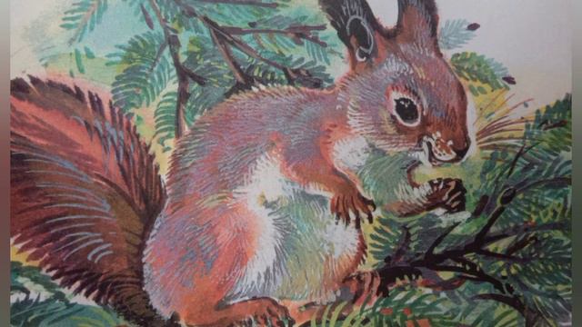 Тайна скворечника. Книги детям. Николай Сладков. #сказкананочь