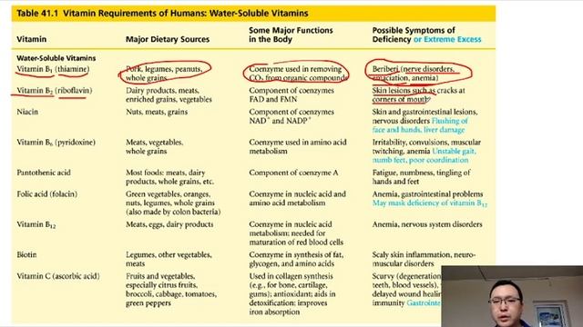 Пищеварение. Часть 1 (он-лайн урок РНПЦ "Дарын") смотреть онлайн