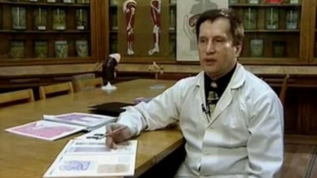 Тело человека  Ткани   Паренхима, Строма