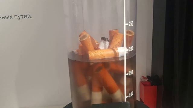 Фотографии из выставки "Московский урбанистический форум". смотреть онлайн