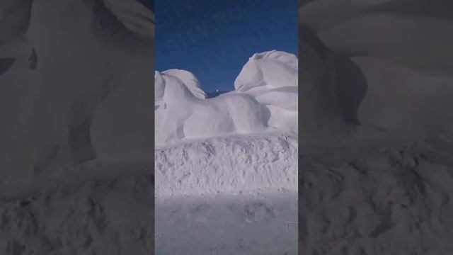 Табун лошадей из снега
