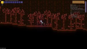 Новые сиды в Terraria - Обзор нового обновления 1.4.4