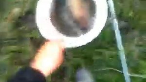 сазан на пол кило. ловля на картошку.