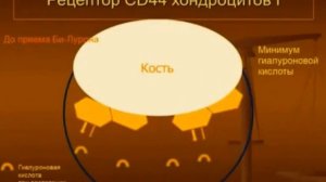 Би-Лурон. Автор продукта Нильс Душек о том, как работает Би-Лурон.
