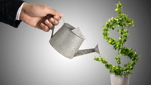 Выращивание грибов рейши как бизнес идея. Рейши в медицине смотреть онлайн