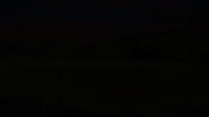 Она похожа на модель ? | GTA5RP | INSQUAD