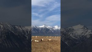 Гансахан шамай/ бурятская песня/ осень в долине