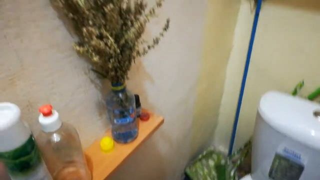 Бесплатный ароматизатор для туалета смотреть онлайн