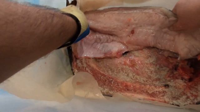 ВСЁ о Холодном Копчении РАЗНОЙ РЫБЫ в ОДНОМ видео !!!